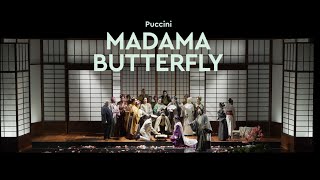 Madama Butterfly  TEASER [upl. by Aidin59]