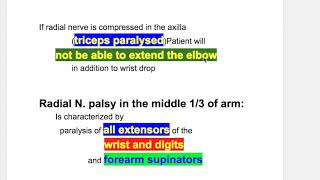 Erbs palsywaiter tip positionRadial N palsy [upl. by Anirtac]