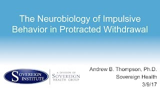 The Neurobiology of Impulsive Behavior in Protracted WithdrawalAndrew B Thompson [upl. by Eittel]