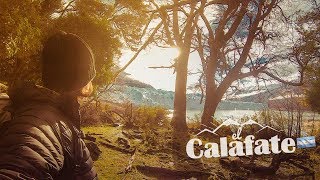 EL CALAFATE  PATAGONIA ARGENTINA TOP 5 COSAS QUE DEBES SABER DE EL CALAFATE [upl. by Zacks344]