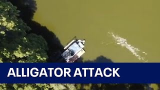 Drone captures moment alligator attacks swimmer in Florida lake [upl. by Sacrod]