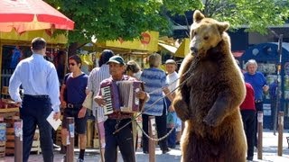 Der letzte Tanz  Die Befreiung der bulgarischen Tanzbären Goscho und Bobby [upl. by Hike]