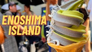 LIFE IN JAPAN Discover Fujisawa we ate white bait fish ice cream for the first time PT1 [upl. by Elodia]