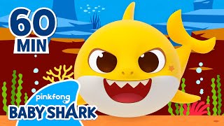 Original Baby Shark Doo Doo Doo 1 hour  Compilation  Baby Shark NonStop  Baby Shark Official [upl. by Allicirp640]