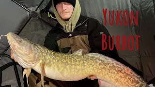 LATE NIGHT Yukon Ice Fishing For Burbot And Lake Trout Ft Certified Lucky Tackle [upl. by Klemperer]