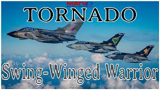 Panavia Tornado SwingWinged Warrior  Classic Documentary  raf tornado nato coldwar russia [upl. by Hernando]