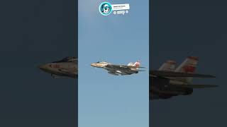 F14 Tomcat Flyby shorts msfs2020 [upl. by Newra]