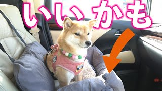 アマゾンで新しい犬用ドライブベッドを購入！結構いいかも♪ [upl. by Girhiny]