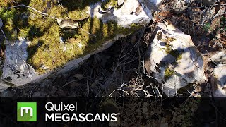 Megascans Release Trailer [upl. by Patsy2]