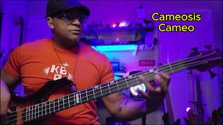 Cameosis  Cameo  Bass Cover [upl. by Dworman]