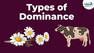 Genetics  Dominance and Its Types  Lesson 8  Dont Memorise [upl. by Nerol]