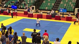 International Taekwondo Masters Open Championship 2024 Singapore  Vynce Cheong  Poom 1  Gold [upl. by Lorn]