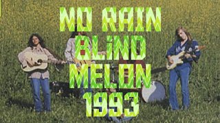 NO RAIN by Blind Melon  lyrics video [upl. by Egan]