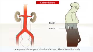 Kidney disease  Causes and treatment of kidney failure [upl. by Gina329]