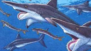 Tribute to Helicoprion [upl. by Morez]