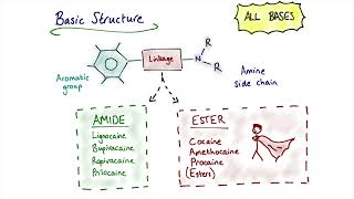 Local Anaesthetic Agents [upl. by Alidia]