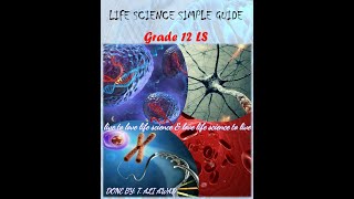 Immunology part 5 grade12 Cells of the immune system immunology [upl. by Ardis]