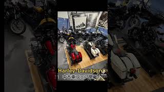 春を前に！ハーレー中古車フェア開催！お求めやすくなったHarleyDavidsonで春を満喫しよう！ [upl. by Nishom71]