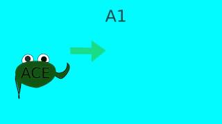 How does lisinopril or ACE inhibitors work [upl. by Lehsar524]