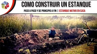 🐠 Como hacer un ESTANQUE Paso a Paso y muy ECONÓMICO  DISEÑADO para PLANTAS Y PECES [upl. by Tisbee]