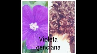 Matiza el cabello naranja con violeta de genciana [upl. by Durrell]