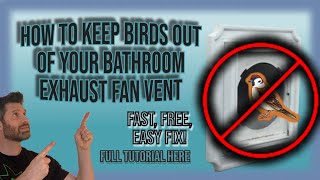 How to Keep Birds out of Bathroom Exhaust Fan Vent  Fast Free Easy Fix  Complete Guide DIY [upl. by Anasor]