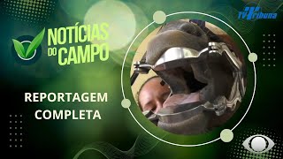 ODONTOLOGIA EQUINA PAUDALHO PGM NOTÍCIAS DO CAMPO N104 271024 [upl. by Enelrats]