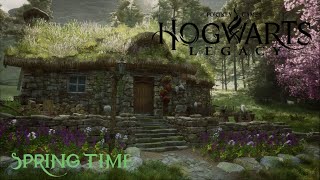 Hogwarts Legacy  Spring in Lower Hogsfield  soft background music  ambient sounds [upl. by Annaitat]