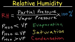 Relative Humidity  Dew Point Vapor amp Partial Pressure Evaporation Condensation  Physics [upl. by Naleek672]