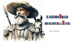 EL INGENIOSO HIDALGO DON QUIJOTE DE LA MANCHA Libro I Cap XL Un relato breve sucinto y chico [upl. by Queena]