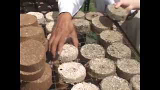 FOST briquette making process [upl. by Enaujed]