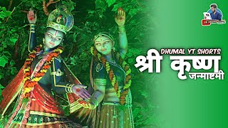 Shree Krishna Janmashtami special 2021 ytshorts djdhumalunlimited [upl. by Mulac]