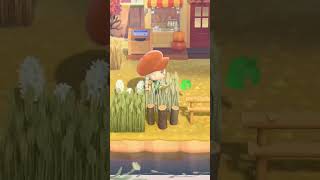 Making Nook’s Cranny Prettier in Animal Crossing New Horizons [upl. by Alekin]