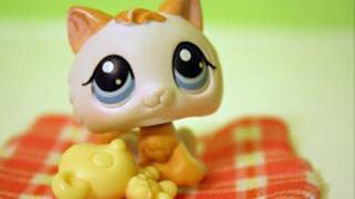 Littlest Pet Shop The Summer Camp Part 1 THE REMAKE [upl. by Branden]