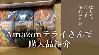 めちゃくちゃ欲しかった糸をゲット！テライさんでの購入品紹介しながら編みラジオ [upl. by Bent286]