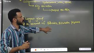 excretory products and their elimination part 4 biology class 11th ncert solutions [upl. by Jain]