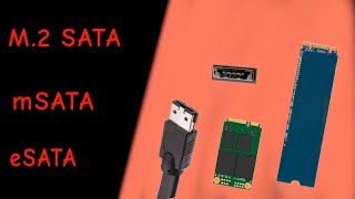 mSATA  eSATA  M2 SATA SSD [upl. by Heffron448]