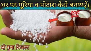 How To Make Urea And Potash At Home  घर पर यूरिया व पोटाश कैसै बनाए [upl. by Rosenblatt]