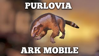 TAMEO DE PURLOVIA  ARK MOBILE [upl. by Blatman]