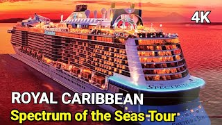 Spectrum of the Seas Ship Tour  Royal Caribbean Cruise [upl. by Alleuol]