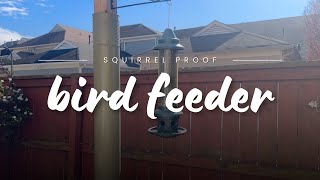 The Ultimate SquirrelProof Bird Feeder Squirrel Buster Plus Tested [upl. by Annaor98]