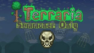 Terraria Summoner Only  Expert Skeletron [upl. by Lekzehcey774]