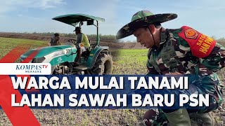 Warga Mulai Tanami Lahan Sawah Baru PSN [upl. by Imehon]