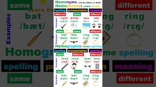 Homophones Homographs and Homonyms [upl. by Pomcroy673]