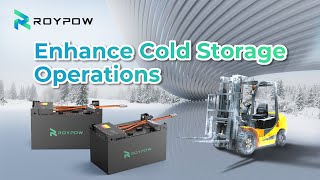 Reliable Forklift Batteries for Cold Storage ROYPOW Solutions [upl. by Klinger]