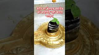 कौन सा बेलपत्र महादेव को नहीं समर्पित करना चाहिए plants shibholenath viralvideo youtubeshorts [upl. by Odrautse]