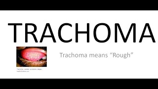 Ophthalmology 076 a Trachoma What is Chlamydial Trachomatis Conjunctivitis [upl. by Ahseikal]