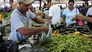 Market Day At Marabella Market Trinidad [upl. by Bohun]