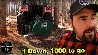 Where the Stump Grinder Pays Off Cutting New Trails [upl. by Lefty]