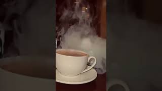 Chai Ka Cup  Chai Ke Bahane  Chai Ke Upar Gana  Chai Ki Video  Chai Poetry  Chai Reels  Tea [upl. by Schlosser]